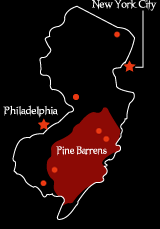 pine barrens region